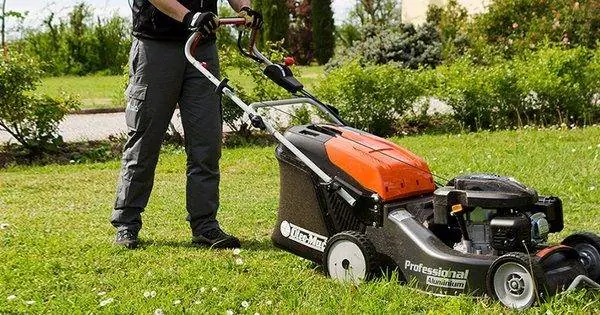Düzenli Bahçe Bakımı Nedir Nasıl Yapılmalıdır