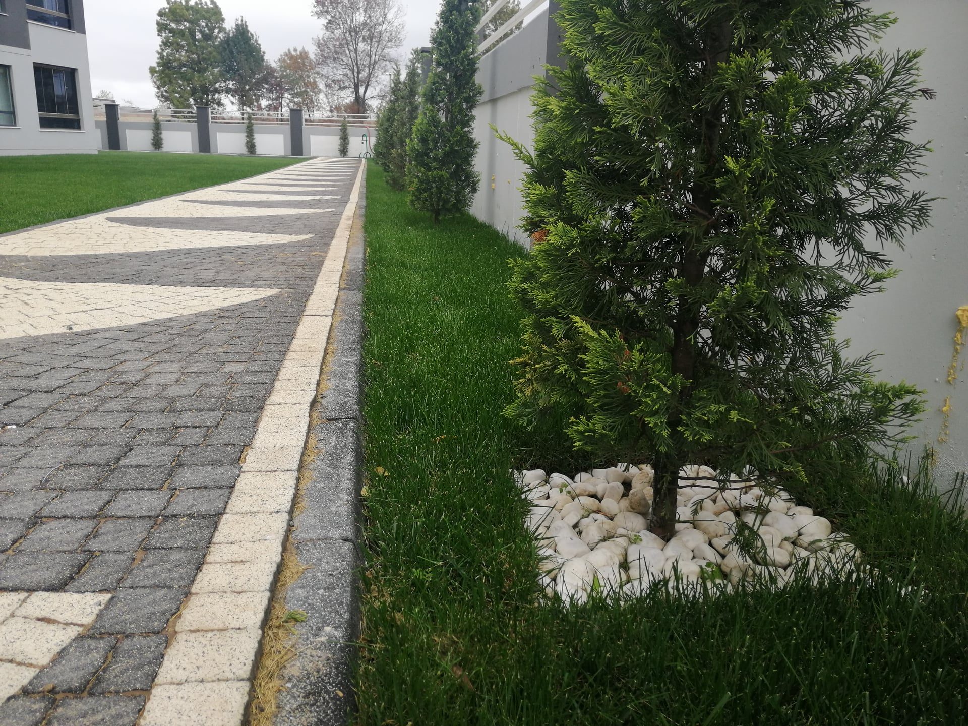 Çit Bitkileri Hakkında Bilgiler